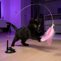 Flash's Play Kit — Teaser Toy + Laser Toy